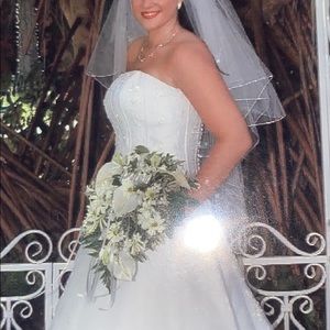 Wedding Veil w/ Crystal bead edge